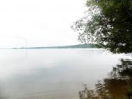 Степашки з panoramio.com