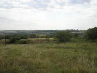 Новопавлівка з panoramio.com