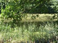 Малокозирщина з panoramio.com