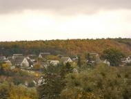 Тараща з panoramio.com