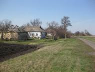 Підок з panoramio.com