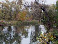 Букине з panoramio.com - Букино