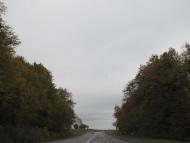 Комарів з panoramio.com