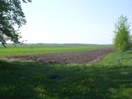 Свидники з panoramio.com