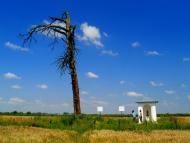 Угнів з panoramio.com