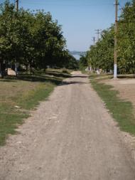 Василівка з panoramio.com