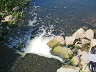 Соснівка з panoramio.com