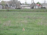 Новий Буг з panoramio.com