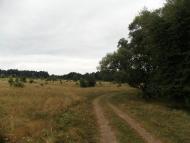 Степашки з panoramio.com