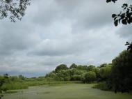 Берестовець з panoramio.com