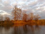 Кицівка з panoramio.com
