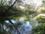 Дроговиж з panoramio.com