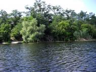 Скибинці з panoramio.com