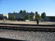Плавні з panoramio.com