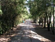 Хорли з panoramio.com