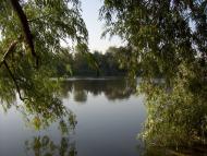 Цукури з panoramio.com