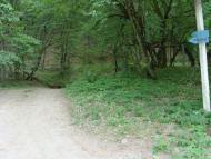 Лісне з panoramio.com