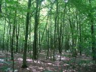 Майдан-Вербецький з panoramio.com