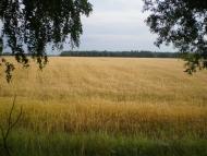 Пересипки з panoramio.com