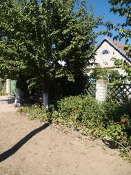 Василівка з panoramio.com