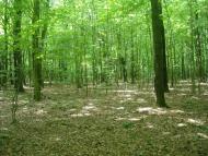 Майдан-Вербецький з panoramio.com