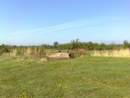 Кицівка з panoramio.com