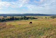 Суйми з panoramio.com