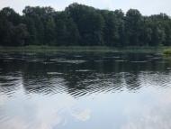 Пришивальня з panoramio.com