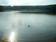 Лісна Поляна з panoramio.com