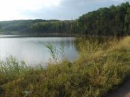 Лісна Поляна з panoramio.com