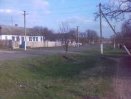 Нова Дмитрівка - Останні фото