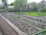 Сальник з panoramio.com