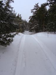 Шишаки з panoramio.com