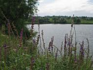 Кринички з panoramio.com