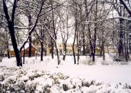 Любомль з panoramio.com