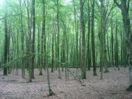 Майдан-Вербецький з panoramio.com