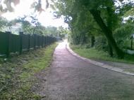 Пустомити з panoramio.com