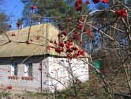 Нові Безрадичі з panoramio.com