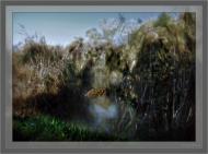 Кушугум з panoramio.com