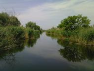 Солонці з panoramio.com