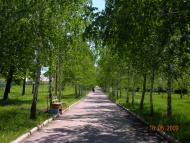 Комсомольське з panoramio.com