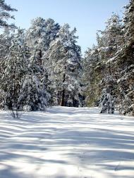 Ліпляве з panoramio.com