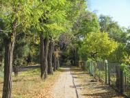 Менжинське з panoramio.com