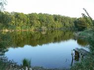 Куйбишеве з panoramio.com