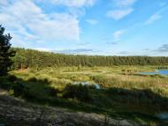 Тутовичі з panoramio.com