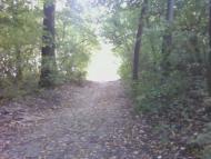 Сальник з panoramio.com