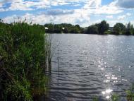 Соснівка з panoramio.com