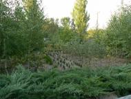 Куйбишеве з panoramio.com