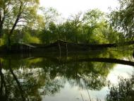 Кононча з panoramio.com