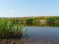 Народичі - Останні фото